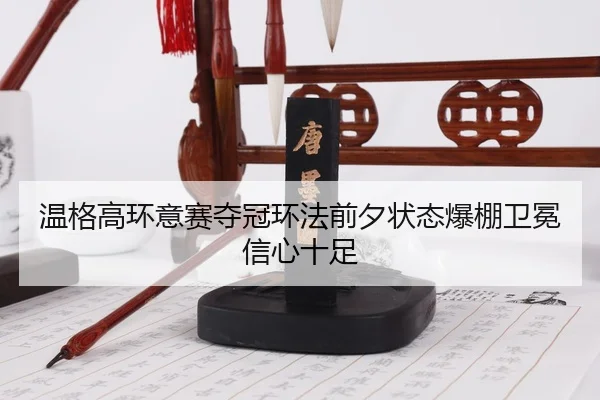 wen-ge-gao-huan-yi-sai-duo-guan-huan-fa-qian-xi-zhuang-tai-bao-peng-wei-mian-xin-xin-shi-zu-2-153.jpg